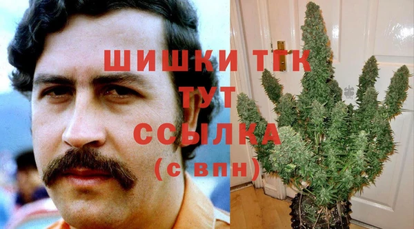 spice Алзамай