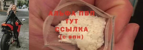 гидра Абаза